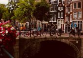 پلی در آمستردام به همراه تزیین گل های هلندی