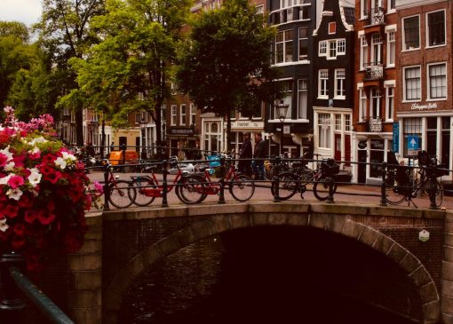 پلی در آمستردام به همراه تزیین گل های هلندی