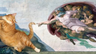 خلقت گربه اثر FatCat