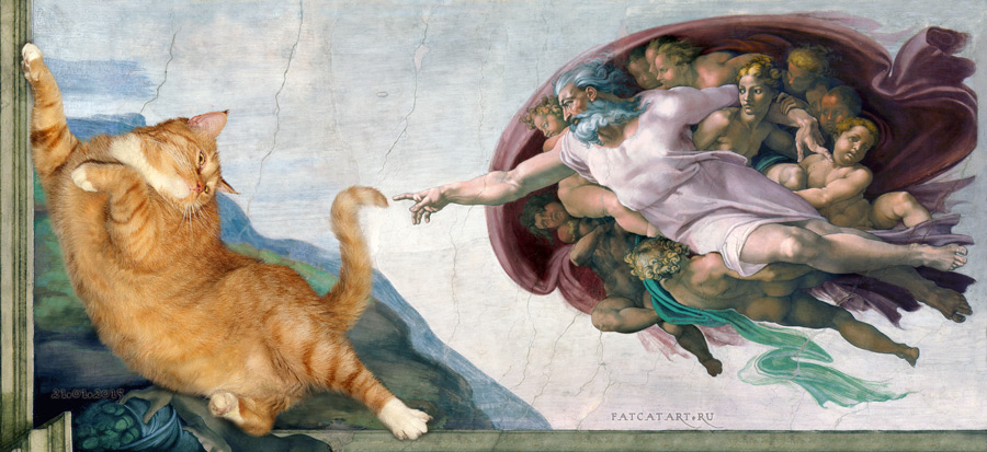 خلقت گربه اثر FatCat